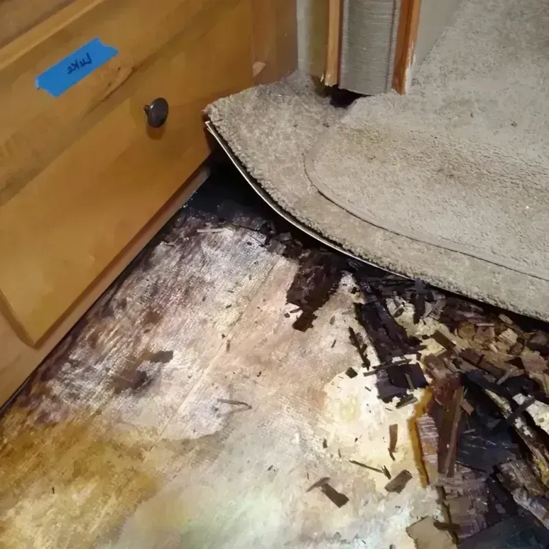 Wood Floor Water Damage in Stone County, MO